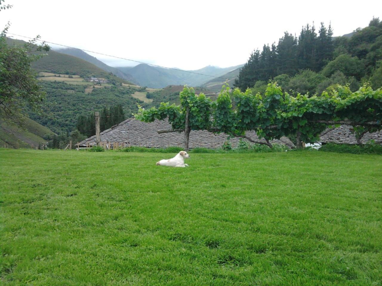 Apartamentos El Valledor Tremado Bagian luar foto